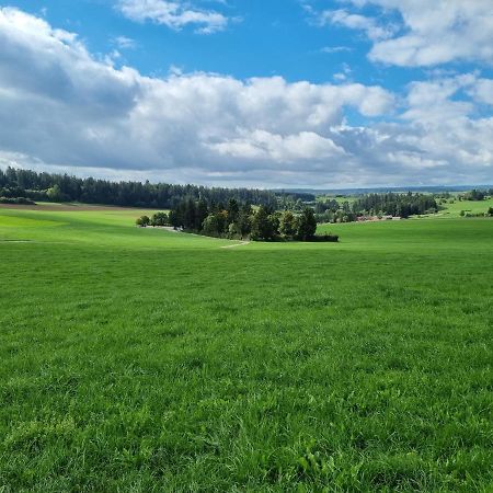 Modern Eingerichtete 3-Zi-Ferienwohnung Zu Vermieten Löffingen Zewnętrze zdjęcie