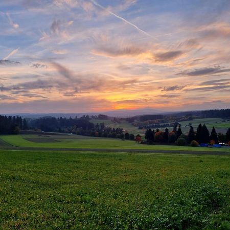 Modern Eingerichtete 3-Zi-Ferienwohnung Zu Vermieten Löffingen Zewnętrze zdjęcie