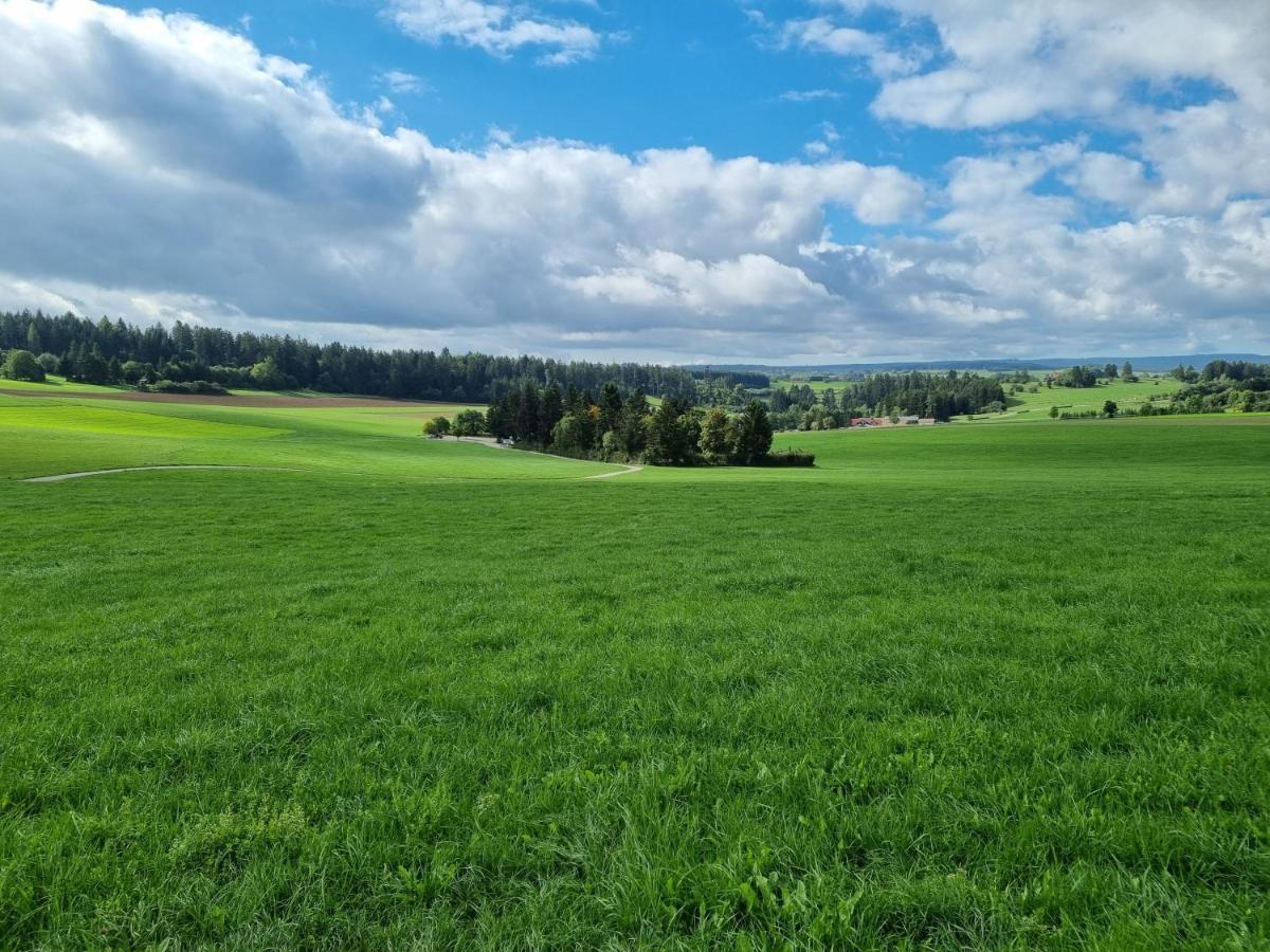 Modern Eingerichtete 3-Zi-Ferienwohnung Zu Vermieten Löffingen Zewnętrze zdjęcie